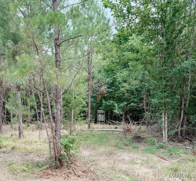 6554 River Rd, Selma, AL 36703 - photo 33