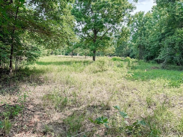 6554 River Rd, Selma, AL 36703 - photo 35
