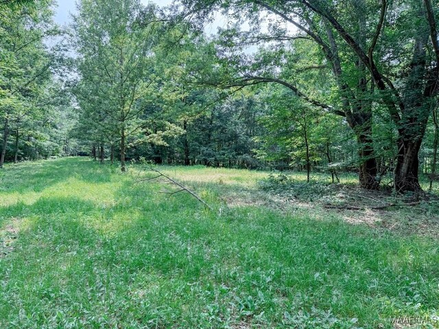 6554 River Rd, Selma, AL 36703 - photo 39