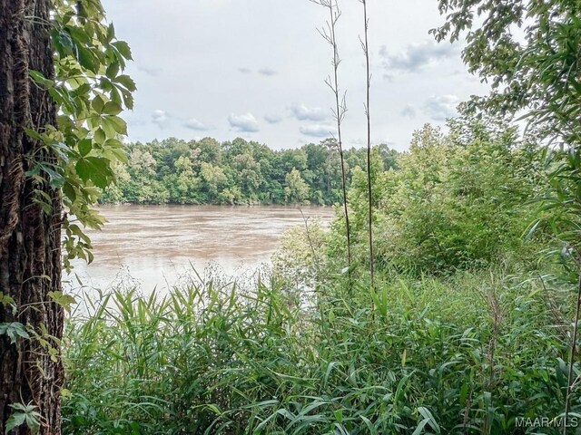 6554 River Rd, Selma, AL 36703 - photo 40