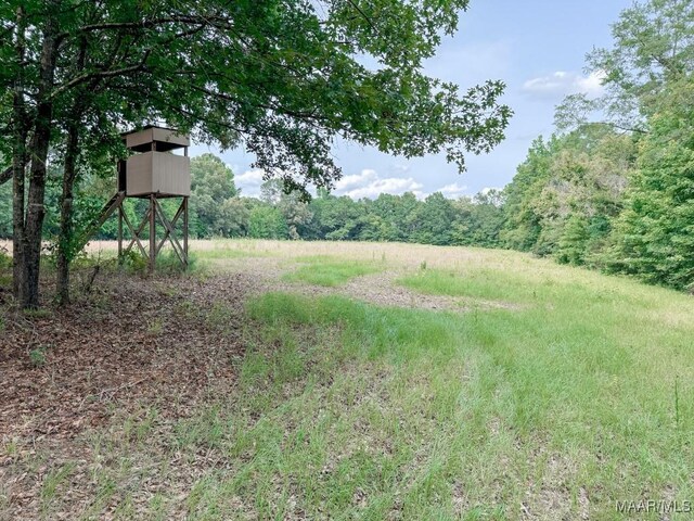 6554 River Rd, Selma, AL 36703 - photo 41