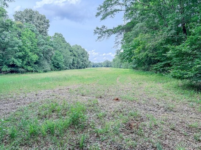 6554 River Rd, Selma, AL 36703 - photo 42