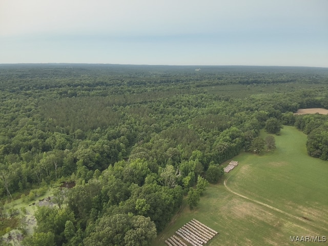 6554 River Rd, Selma, AL 36703 - photo 46