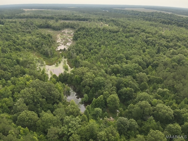 6554 River Rd, Selma, AL 36703 - photo 48
