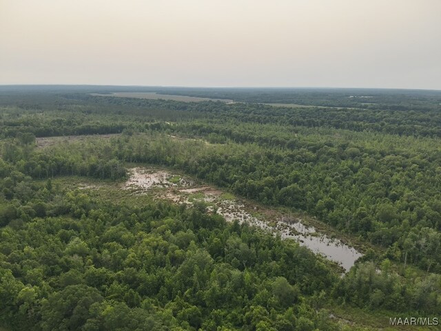 6554 River Rd, Selma, AL 36703 - photo 49
