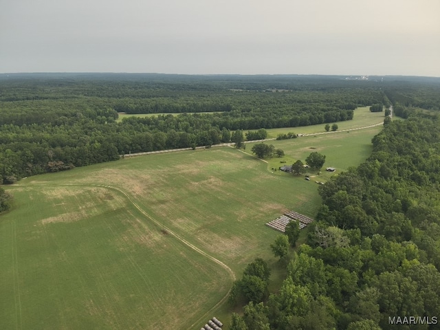 6554 River Rd, Selma, AL 36703 - photo 51