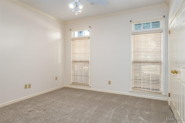 3049 Fieldcrest Dr, Montgomery, AL 36106 - photo 28