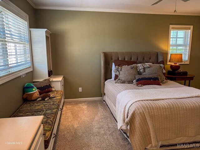 1210 Trevor Cir, Thomasville, AL 36784 - photo 50
