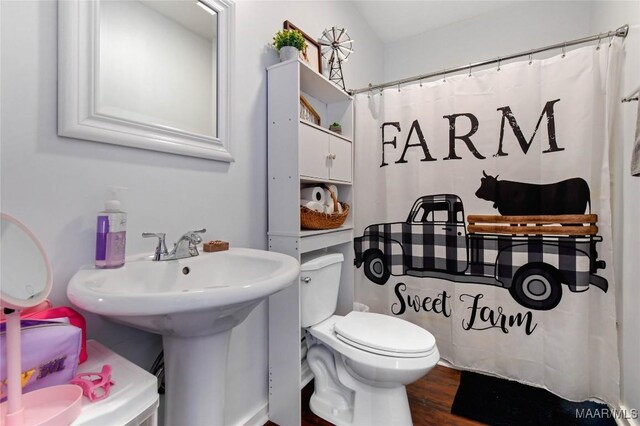 8099 County Road 59, Verbena, AL 36091 - bathroom with toilet, wood finished floors, and a shower with curtain