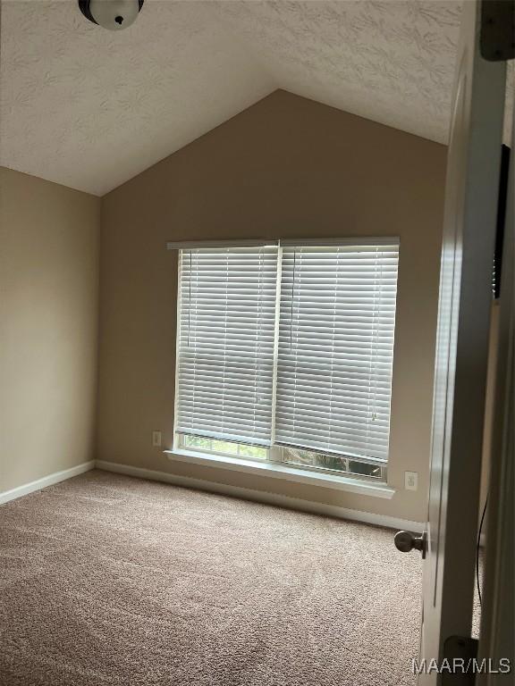 19 High Cotton Ct, Wetumpka, AL 36092 - carpeted empty room featuring a textured ceiling, vaulted ceiling, and baseboards