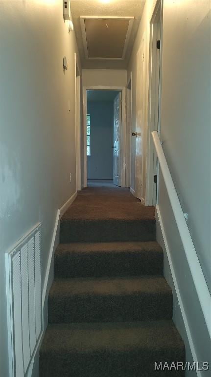 1018 Hillcrest Dr, Weaver, AL 36277 - staircase featuring carpet floors