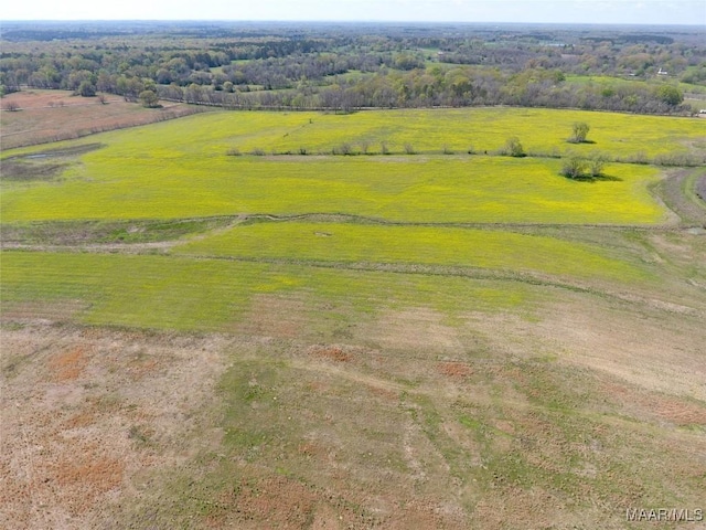 9445 Woodley Rd, Ramer, AL 36069 - photo 2