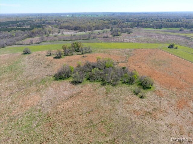 9445 Woodley Rd, Ramer, AL 36069 - photo 3