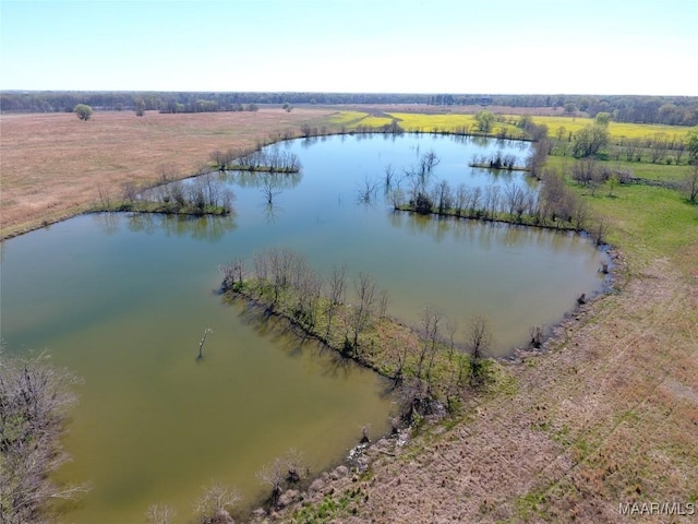 9445 Woodley Rd, Ramer, AL 36069 - photo 4