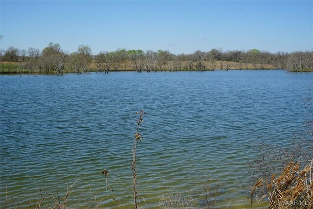 9445 Woodley Rd, Ramer, AL 36069 - photo 6