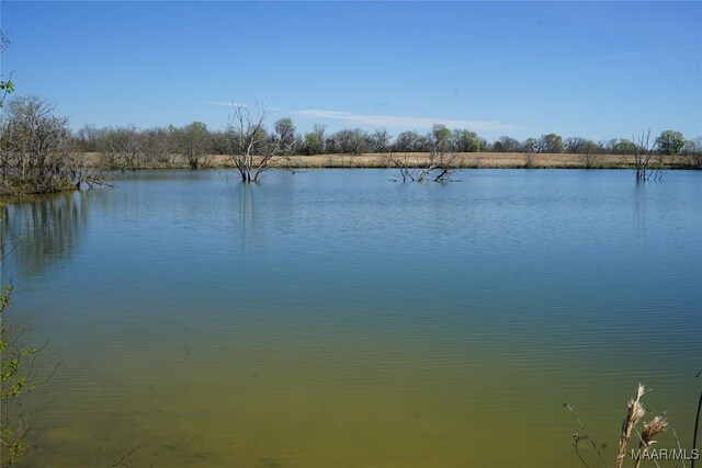 9445 Woodley Rd, Ramer, AL 36069 - photo 10