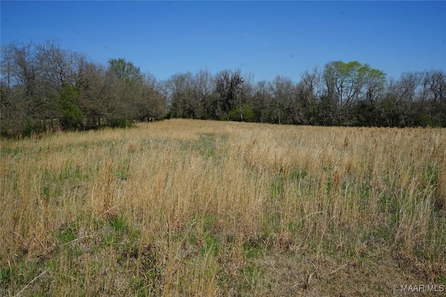 9445 Woodley Rd, Ramer, AL 36069 - photo 11