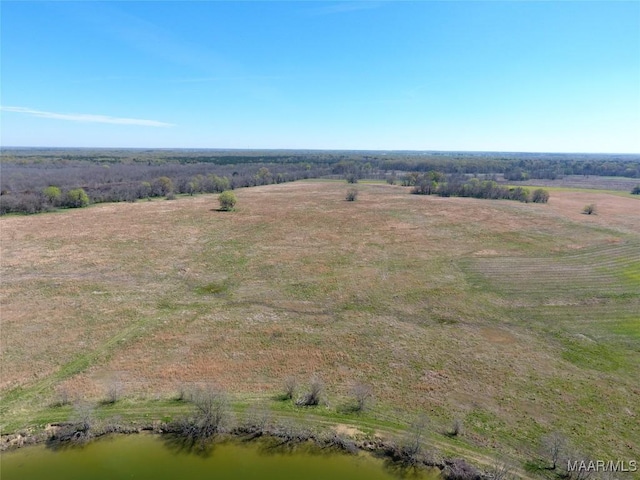 9445 Woodley Rd, Ramer, AL 36069 - photo 14