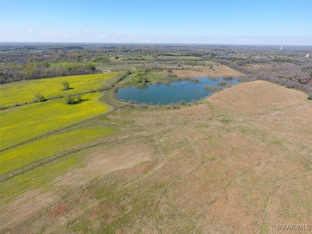 9445 Woodley Rd, Ramer, AL 36069 - photo 15