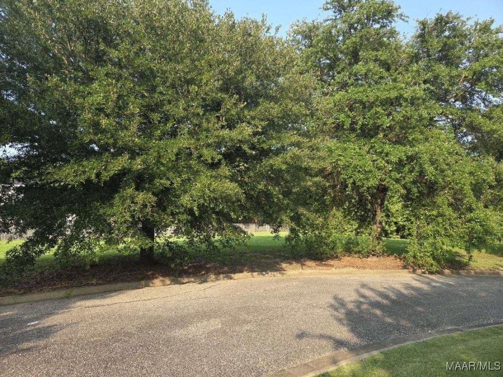 3577 Lockwood Ln, Montgomery, AL 36111 - photo 3