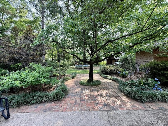 530 Palmquist Dr, Selma, AL 36701 - view of yard featuring a trampoline