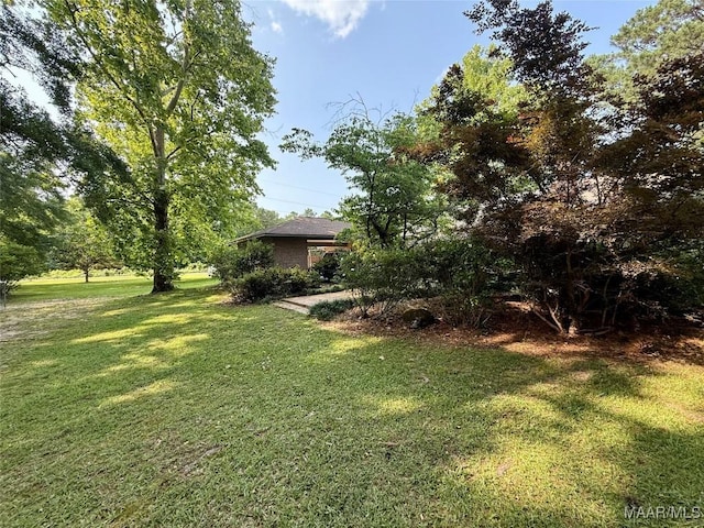 530 Palmquist Dr, Selma, AL 36701 - view of grassy yard