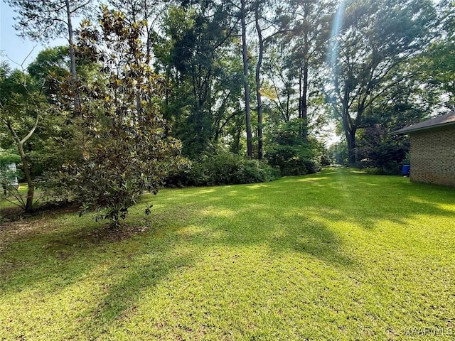530 Palmquist Dr, Selma, AL 36701 - view of green lawn