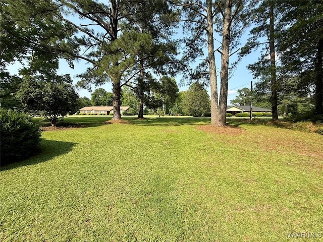 530 Palmquist Dr, Selma, AL 36701 - view of green lawn