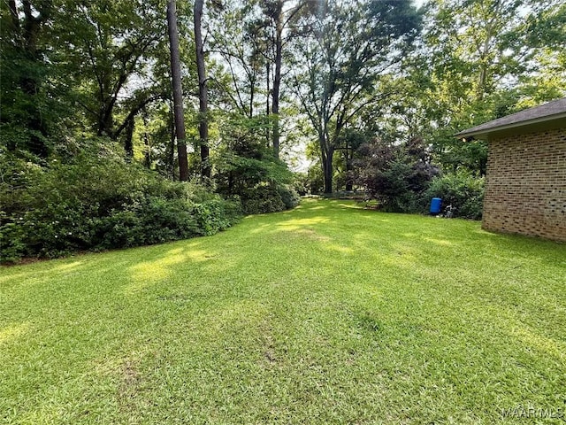 530 Palmquist Dr, Selma, AL 36701 - view of green lawn