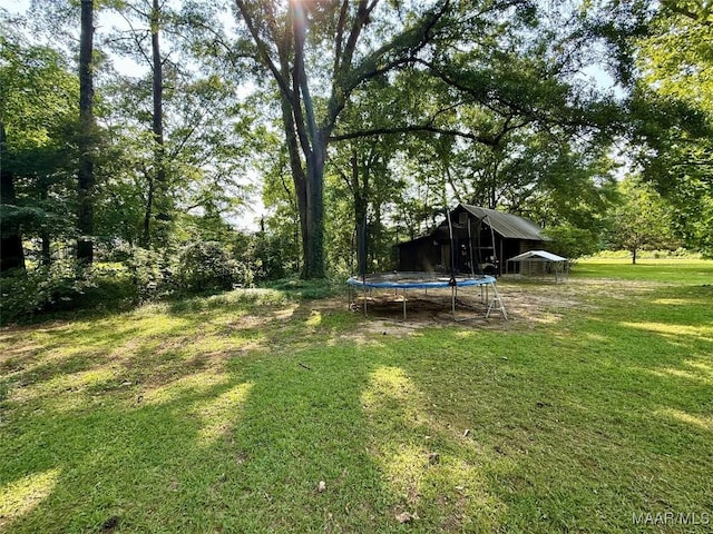 530 Palmquist Dr, Selma, AL 36701 - view of green lawn featuring a trampoline and an outbuilding