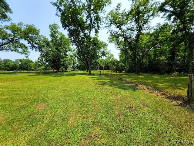 445 W Hickory Grove Rd, Lapine, AL 36046 - view of yard