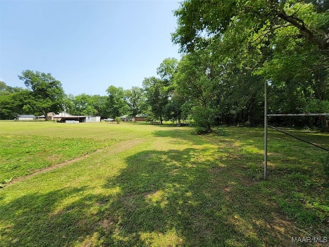 445 W Hickory Grove Rd, Lapine, AL 36046 - view of green lawn