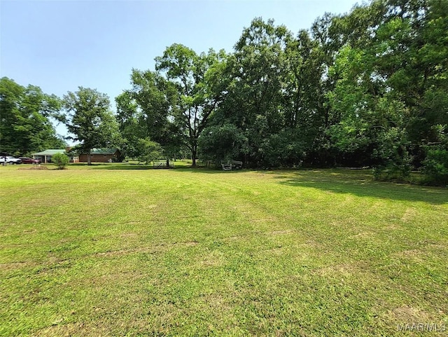 445 W Hickory Grove Rd, Lapine, AL 36046 - view of green lawn