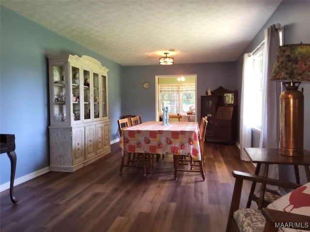 445 W Hickory Grove Rd, Lapine, AL 36046 - dining area with dark wood-style floors, baseboards, and a textured ceiling
