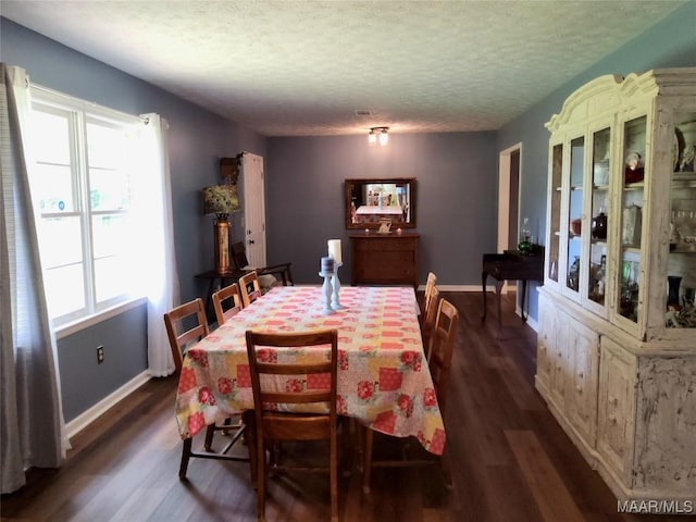 445 W Hickory Grove Rd, Lapine, AL 36046 - dining space featuring dark wood finished floors, healthy amount of natural light, a textured ceiling, and baseboards