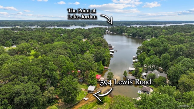 594 Lewis Rd, Deatsville, AL 36022 - bird's eye view of a nearby body of water and a forest