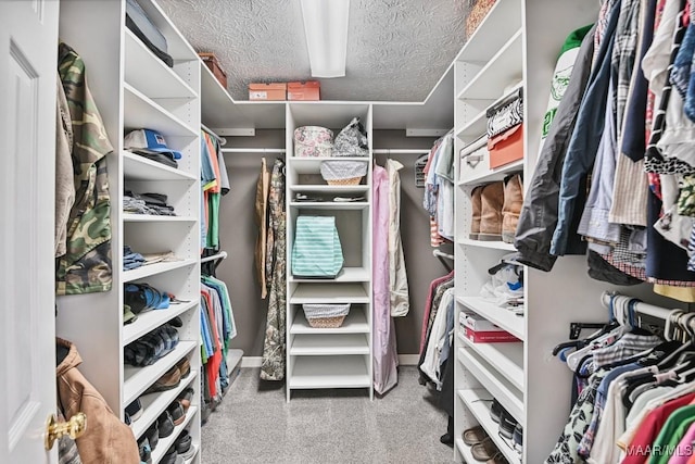 594 Lewis Rd, Deatsville, AL 36022 - spacious closet featuring carpet floors