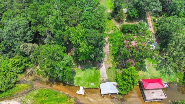 594 Lewis Rd, Deatsville, AL 36022 - bird's eye view