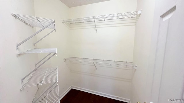 6616 Chaprice Ln, Montgomery, AL 36117 - spacious closet featuring wood finished floors