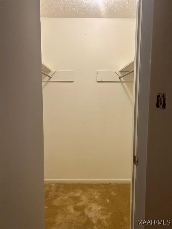 108 Shawnee Dr, Wetumpka, AL 36092 - walk in closet with carpet flooring