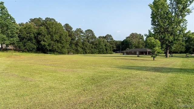 22 Daleview Cir, Sylacauga, AL 35150 - view of community featuring a yard