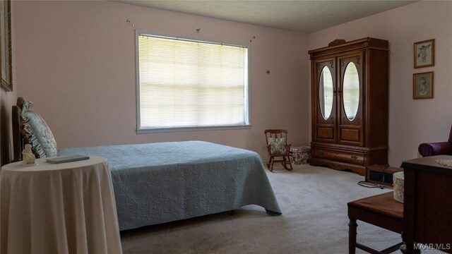 22 Daleview Cir, Sylacauga, AL 35150 - bedroom featuring carpet flooring