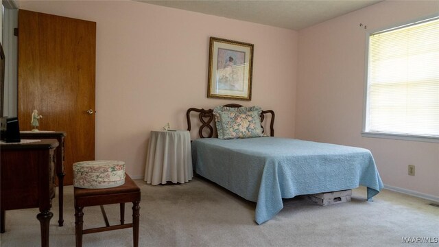 22 Daleview Cir, Sylacauga, AL 35150 - carpeted bedroom with baseboards