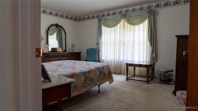 22 Daleview Cir, Sylacauga, AL 35150 - view of carpeted bedroom