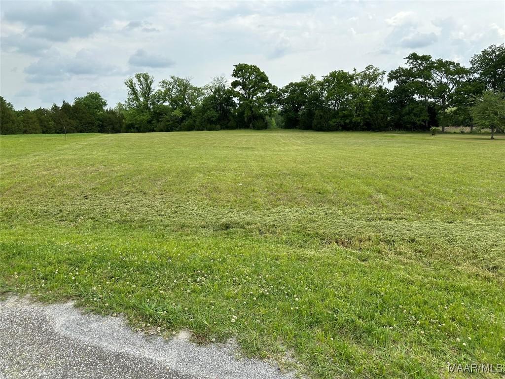 900 Kerington Ln, Pike Road, AL 36064 - photo 1