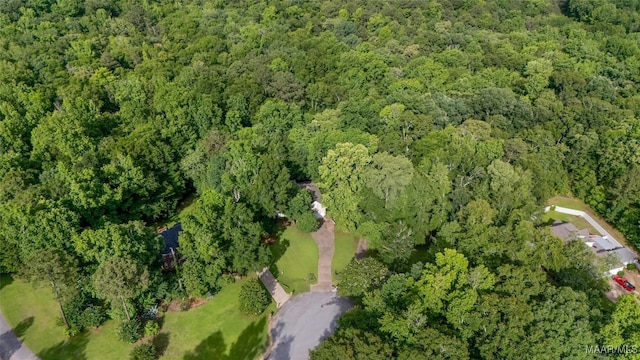 393 River Ridge Rd, Wetumpka, AL 36093 - photo 33