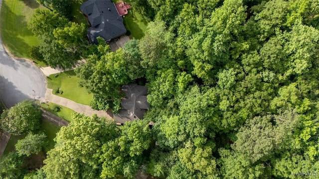393 River Ridge Rd, Wetumpka, AL 36093 - photo 34