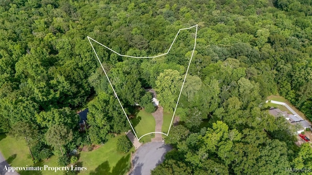 393 River Ridge Rd, Wetumpka, AL 36093 - photo 36