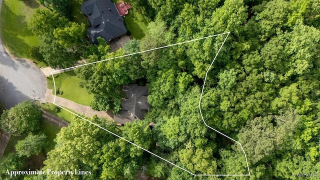 393 River Ridge Rd, Wetumpka, AL 36093 - photo 37