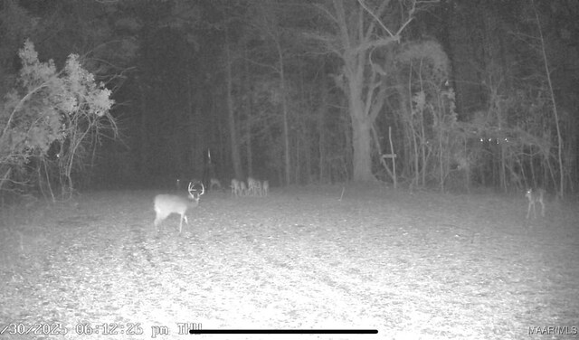 34895 County Road 2, Shorter, AL 36075 - photo 28